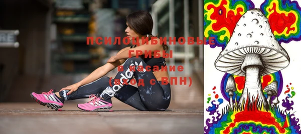 стафф Горнозаводск