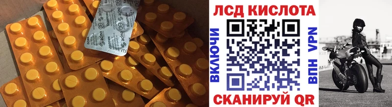 Купить закладки  Щёлково  ЛСД экстази ecstasy 