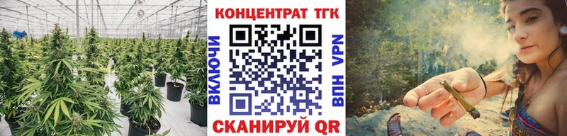 ТГК гашишное масло  Купить  Щёлково 