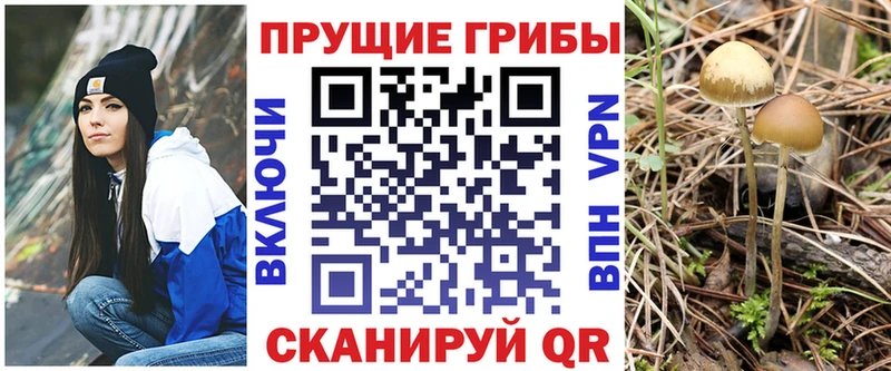 Купить где  Щёлково  Псилоцибиновые грибы MAGIC MUSHROOMS 